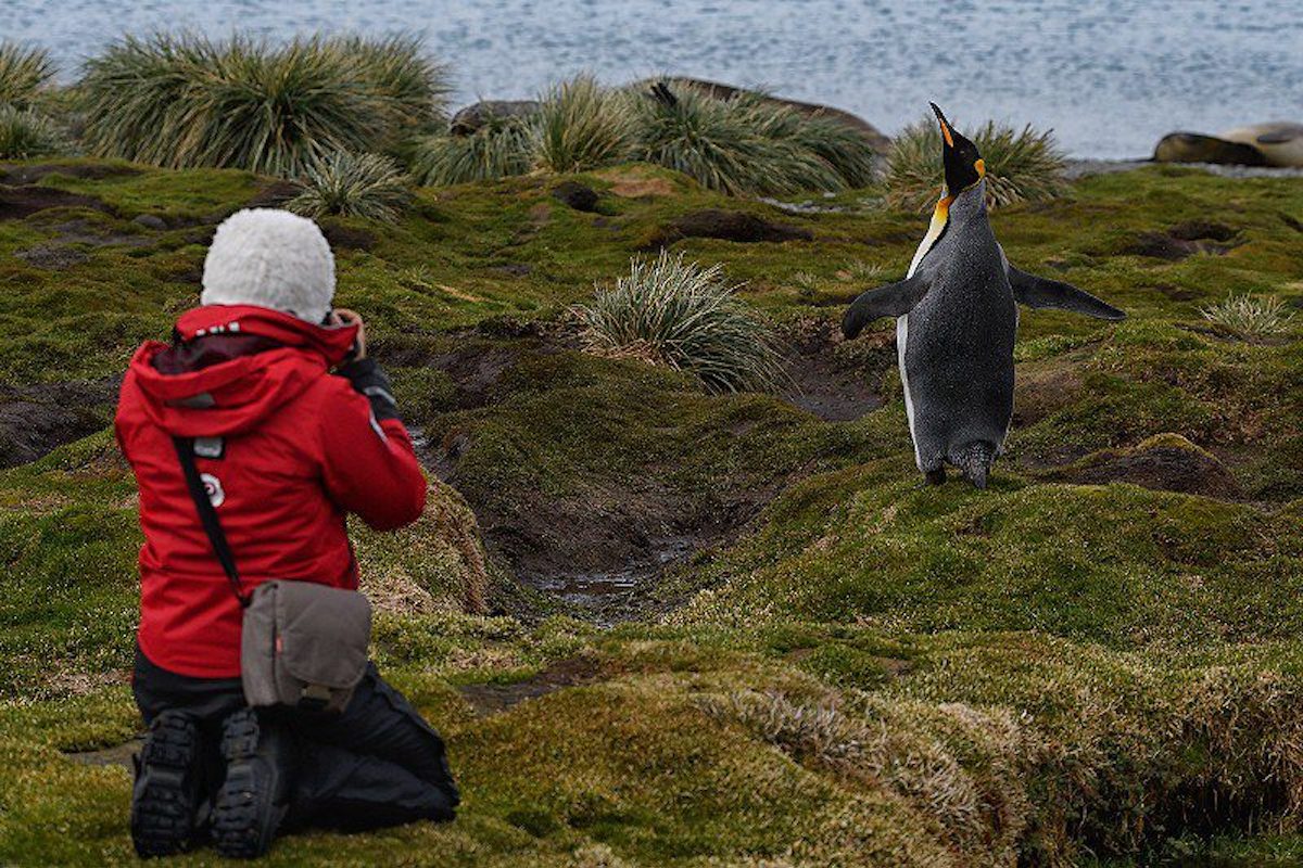 Rainy-Penguin