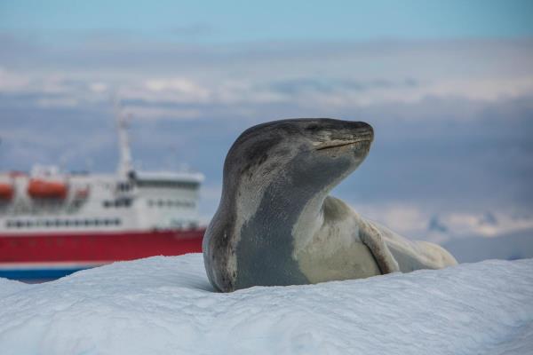 Special Offers Antarctica