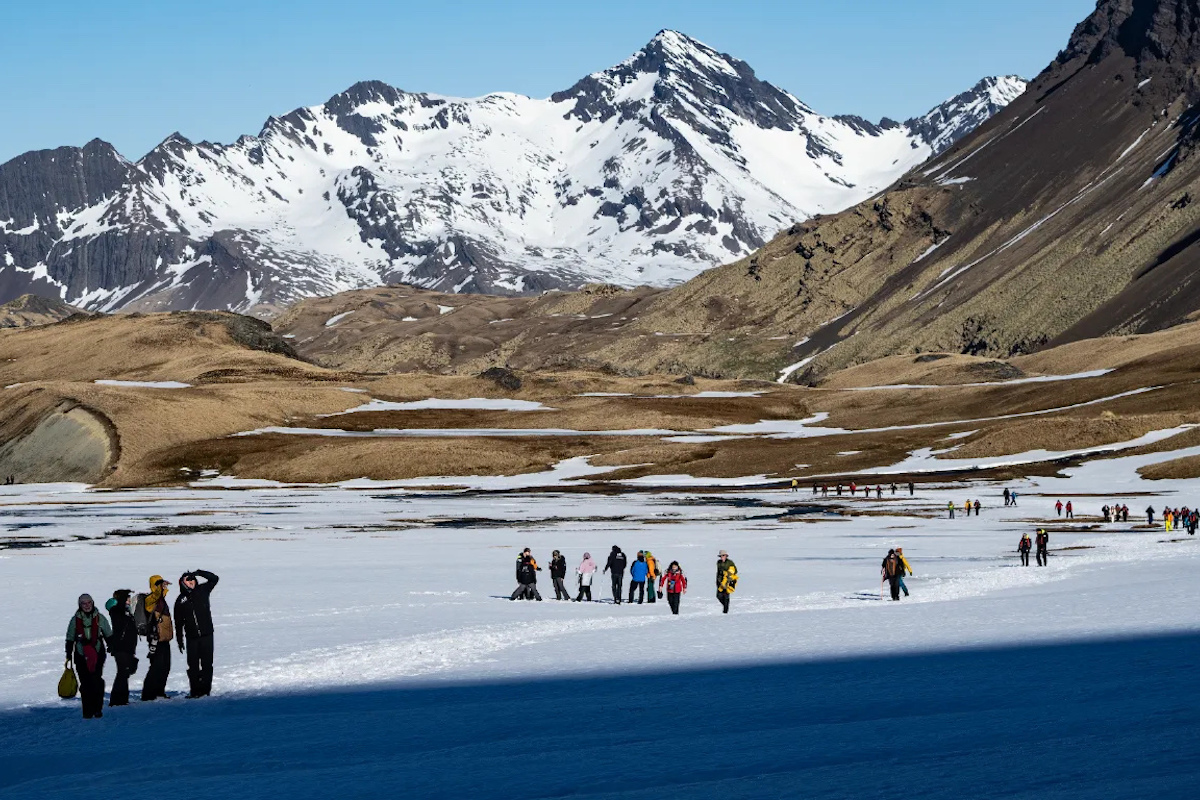 Malvinas & South Georgia 5