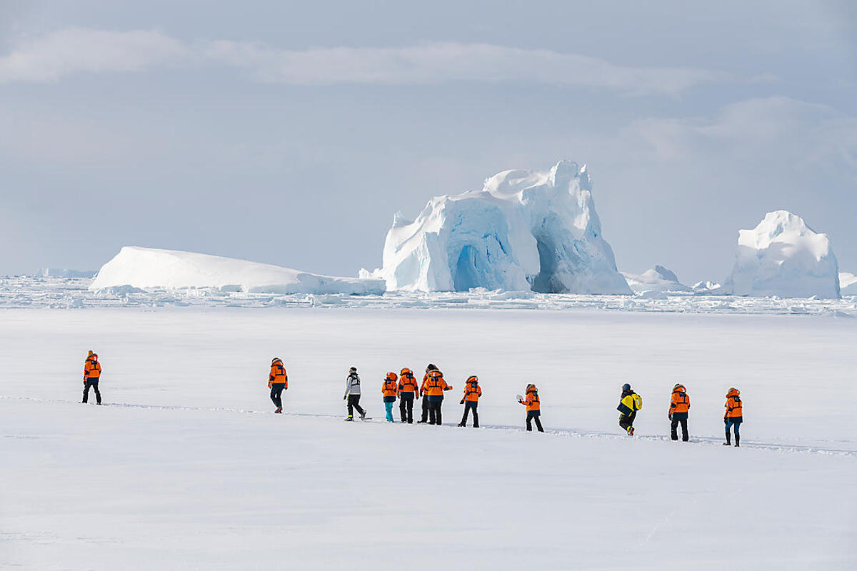 The Emperor Penguins of Weddell Sea 1