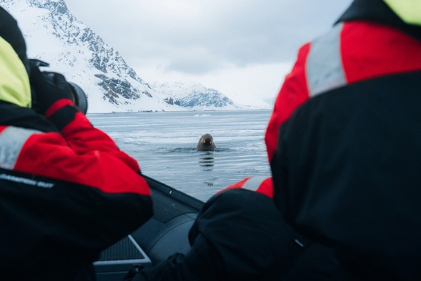 guests-walrus-lilliehookbreen-giancarlo-gallinoro-secret-atlas
