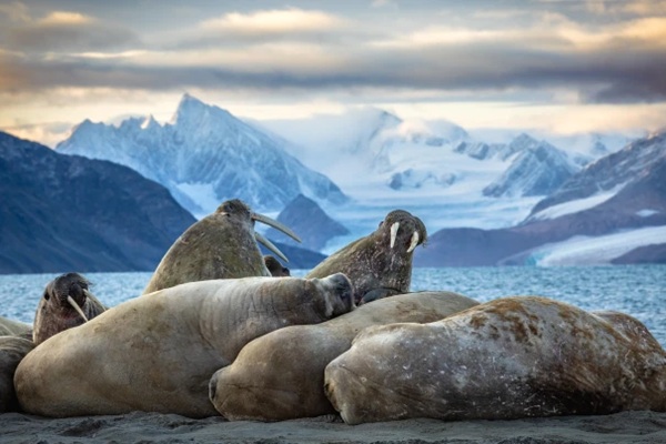 piet-van-den-bemd-svalbard-secret-atlas00015