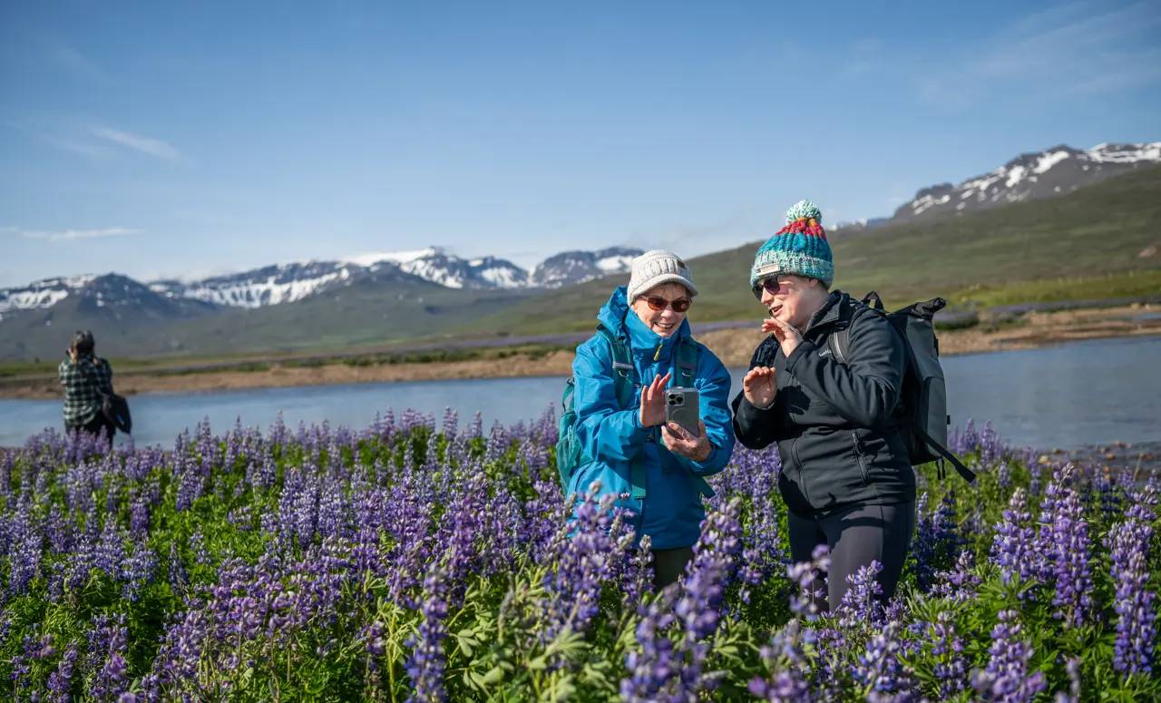 Iceland-Bakkageroi-East-Region-DV125
