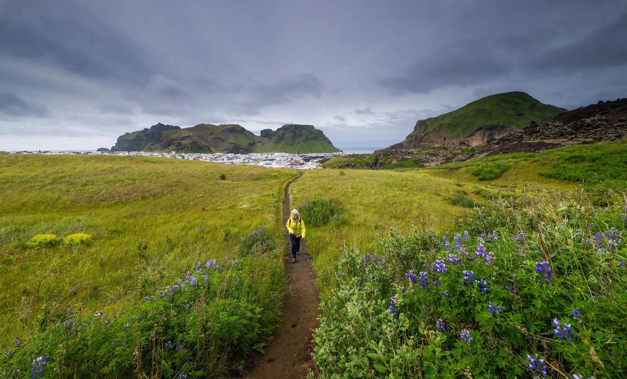 Iceland-Heimaey-Island-Westman-Islands-Souther-Region-DV-IS24-366