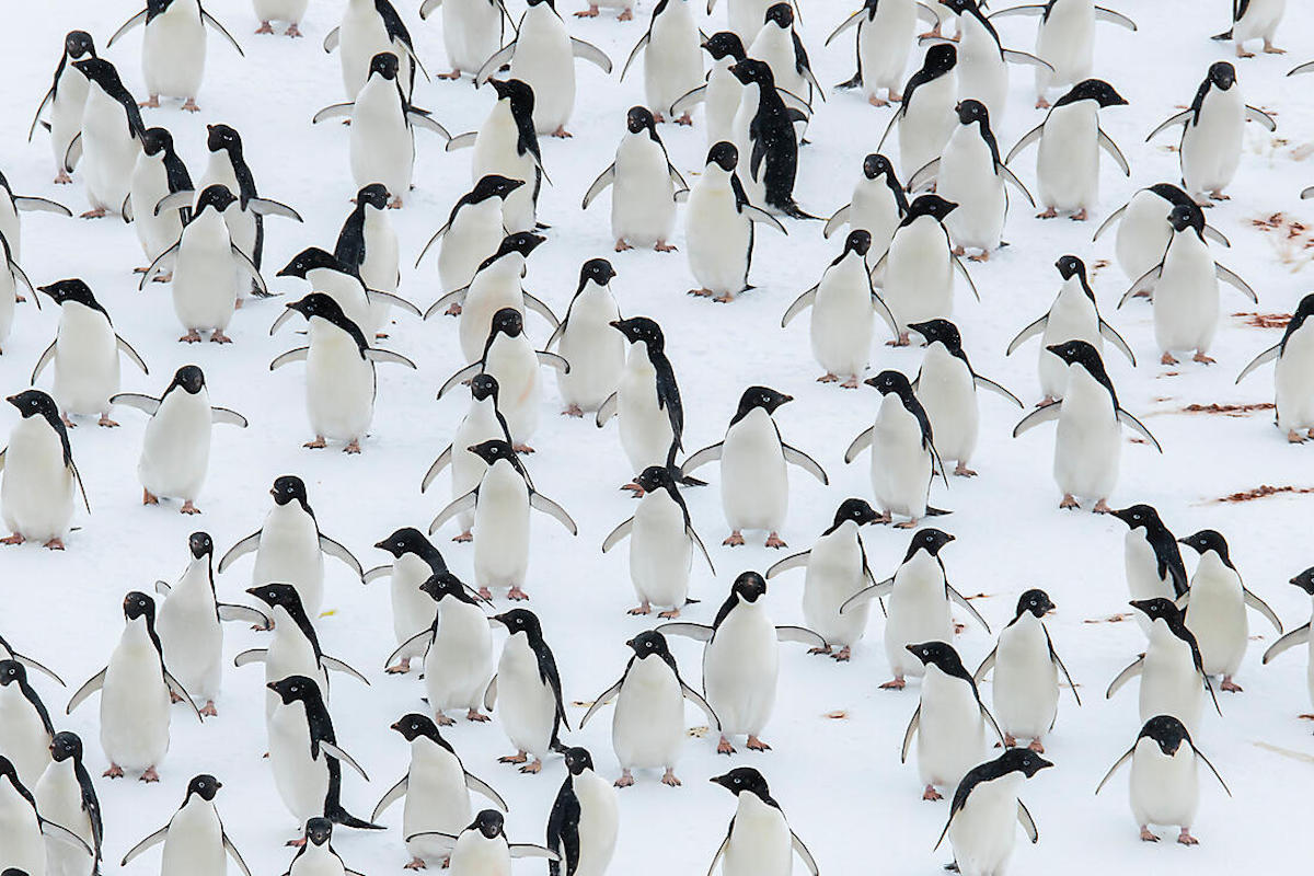 Beyond the Antarctic Circle 1