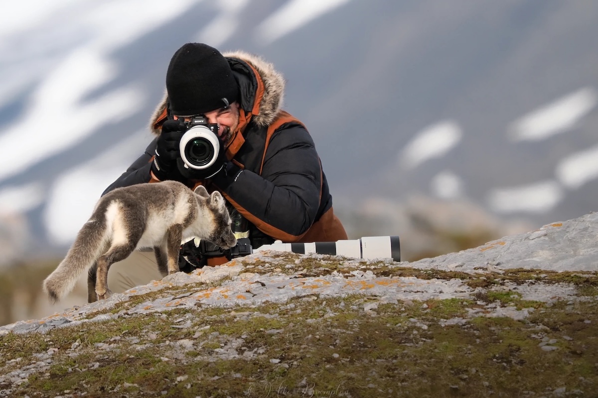 arctic-fox-photographer-guest-svalbard-summer-gnalodde-mike-brampton-secret-atlas