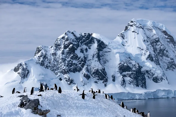 Orne_Harbour_Antarctica_HX_28520
