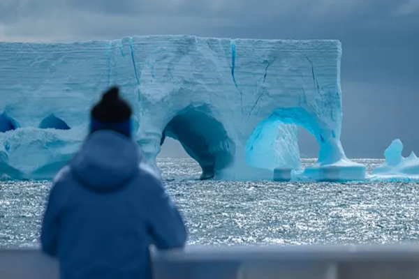 In-depth South Georgia Antarctica & Falklands Expedition Cruise base image