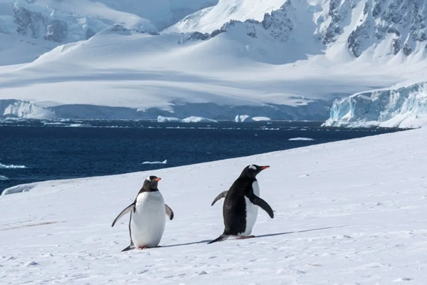 damoy_point_antarctica_hgr