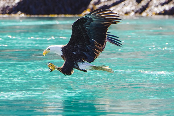 Large_RGB-US-Alaska-AK365
