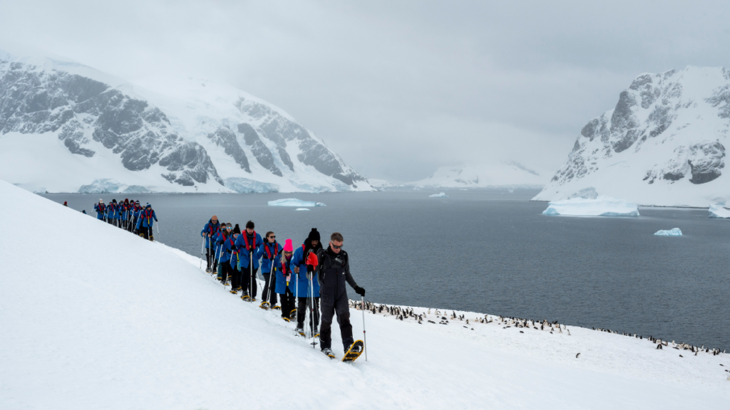 A line of people hiking in the snow in Antarctica