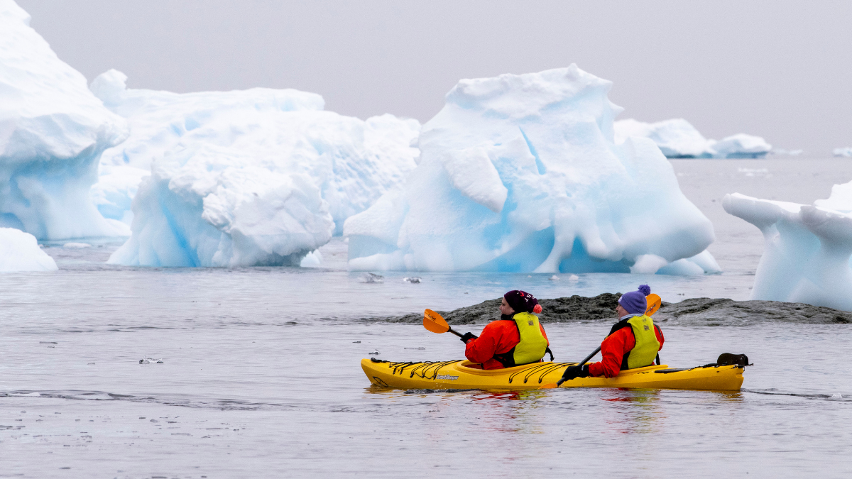 Kayak