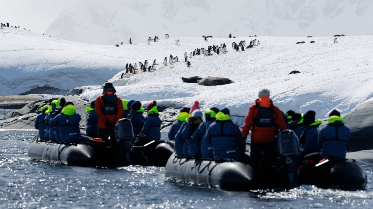 Two zodiacs with people look towards a group of penguins